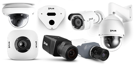 Large Enterprises Security Systems | Teledyne FLIR